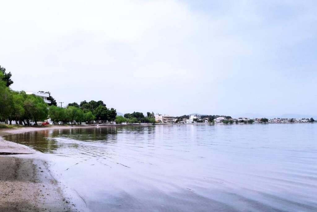 Πολυτελές Διαμέρισμα 2 Χαλκίδα-Παραλία Αυλίδος Paralia Avlidhos Esterno foto