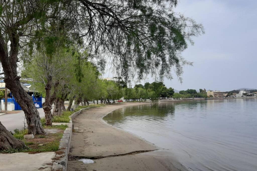 Πολυτελές Διαμέρισμα 2 Χαλκίδα-Παραλία Αυλίδος Paralia Avlidhos Esterno foto